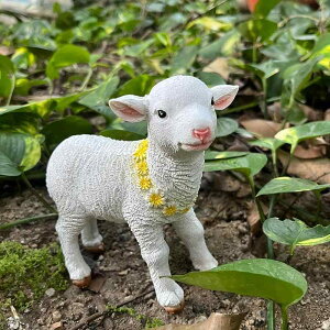 IuWF Op 뉀 K[fjO  A Rr u  tBMA Jg[ fBXvC  GNXeA I[ig 