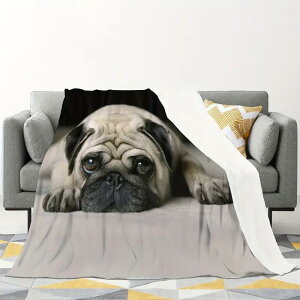 uPbg 킢 pO  Aj} 3Dvg tl t[Xf |GXe \t@ xbhp Ђ| |zc