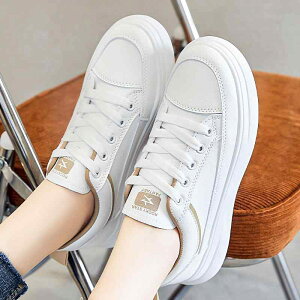 Xj[J[ fB[X Cq[  EhgD [XAbv PUU[ ؍ JWA ʊw w zCg oCJ[ t