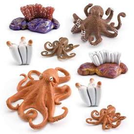 おもちゃ キッズ 精巧な海の生き物 タコ オクトパス PVC製 リアルソリッド 成長サイクル模型 ライフサイクル 学習玩具 知育玩具 認知教育 インテリア置物 ディスプレイ オブジェ