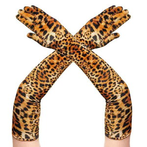  fB[X h ۉ nEB  RXv p[eB[  I \ t  Iy  Ќ_X ӎ` Cxg hXAbv O qE xA xx