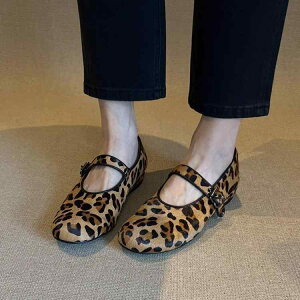 C tbgV[Y fB[X [WF[ ʋ ʋC tďH EhgD nR qE Xgbv 󗚂 CXg[ I JWA ig