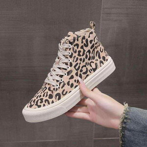 C nCJbgXj[J[ fB[X ~ ϖՐ S w XN[ ʊw JWA  ؍ qE LoX Rbgn ؂ւfUC I[}CeB 