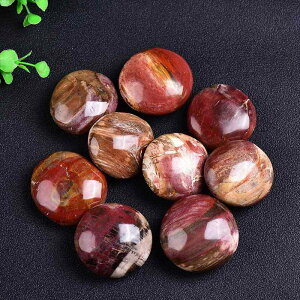 zW{ VR  ؉   dグ 􉽊wfUC _ Vv F ̂ЂTCY ӏܗp u 蕨 CeAIuWF RN^[YACe