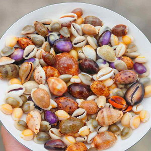 Lk VR  ^JKC ~jL W{  ANAE CAEg I[ig CeA u RNV fBXvC 1.5-5cm