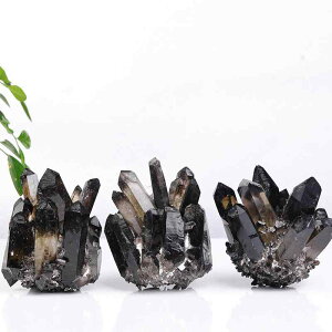 NX^[ VR p[Xg[  X[L[NH[c    zW{  rO  fXN ItBX CeAu IuWF fBXvC  J^