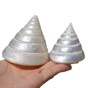 ANAE p  VR Lk L  ^^PmRL p[^PmRL CAEg IuWF W{ u Ϗܗp CeA(x3)