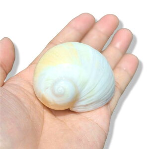 Lk VR ʊL LbcACL hJ VF ANAE  IuWF CeA fBXvC  CAEg