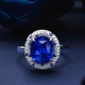 w fB[X TCY\ I[vO  ĕ 􉽊wfUC lHTt@CA J[Xg[ pF fB[vu[ v`iJ[dグ  gh  Mt