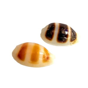 Lk  ANAE CAEg VR RNV W{ L ^JKC  nC CeA IuWF i I Rf ^ ~j fR[V