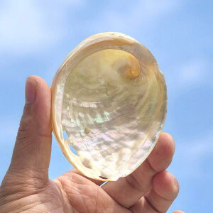 Lk Ar L VR ͗l ^  CeA u IuWF  ANAE fBXvC N AWAeCXg a_