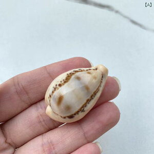 L VR  ʏ  Lk W{ RNV  ANAE CAEg CeA IuWF u rO  i 蕨