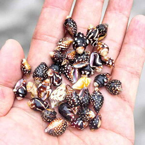 Lk VR C ăp[ W{ RNV  ANAE nC Yr CeA Ntg IuWF fBXvC