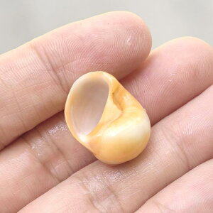 p VR L Lk uE W{ ANAE CAEg  ^ hJ VF p Zݑւp B CeA ̗p Ϗܗp