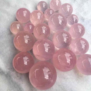 ������ �V�R ���[�Y�N�H�[�c �p���[�X�g�[�� �ۋ� �u�� �C���e���A ���� �� �J�^ �^�C�A�b�v ����� �f�X�N ���r���O ���� �Q�� �V���v�� ���_��