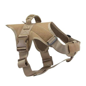 xXg p ^NeBJ n[lX̌^ g[jO  Up AEghA qr ^ |GXe ~^[fUC ubN J[L(x2)