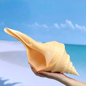 zKC IuWF ^ I[XgAY VR  Lk RNV u  CeA _AWA ݊Q rO  fBXvC i