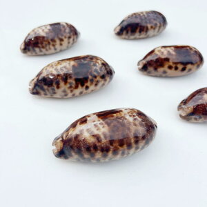 Lk u 10-14cm VȒ傫Ȕ͗l̊L ANAE  CAEg  CeA rO   IuWF fR[V fBXvC RNV