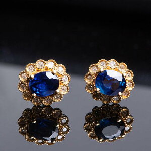 sAX fB[X 24KbL Cu[Tt@CAJ[ tWRjA t[`[t GKg i P X^bhsAX ؍t@bV tH[} p[eB[ 