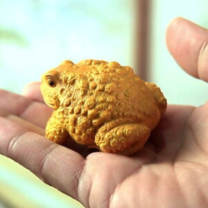 u  ^ J^  ѐA ؒ 蒤 ؐ i N  ؕ AWAeCXg IuWF CeA 蕨 }XRbg ObY