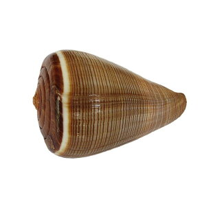 Lk  ANAE  DIY eE ~j`A nC VR L NXWCKC Be u IuWF