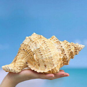 Lk u JGKC 唒JGKC VR^L z[L CAEg ANAE IuWF CeA Be G Ϗܗp RNV