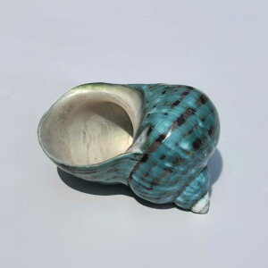 pANZT[ VR  O[^[oVF C Lk 񋏊I hJ Zݑւp \ ANAE  CAEg I[ig  fBXvC