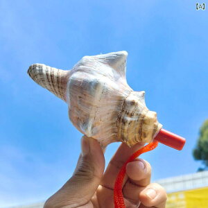 zCbX  LbY qp VRLk L gԖP  ^ ~j RȔ_͗l H|ޗ H | v[g