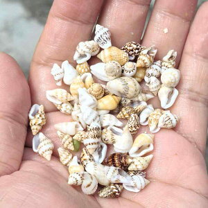 HLbg q ct Cxgp VR Lk L FȂ ɏ ~jTCY L  DIY NtgޗZbg