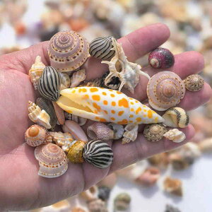 Lk L 䍻L gM Lk ~bNX DIY nhCh | Ntg f 1cm-7cm R CeA htg{g fR[V A\[g