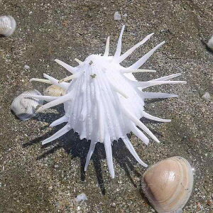  VRf Rf L Lk AJE~MNKC DIY CeA fBXvC IuWF ANAE eE CAEg t