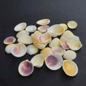 Lk VR  ANAE CAEg  VKC RRibcVF  L ȃVF nC CeA fBXvC IuWF G