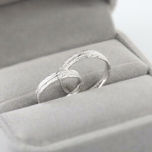 w Y fB[X jp Jbv yA t[TCY I[vO TCY\ Vo[bL H tFU[ fUC ؕ ؍t@bV w lwO fC