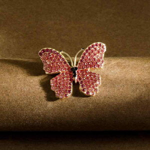 u[` fB[X p ؍  WRjA X ؂₩ 炫 ANZT[ AE^[ WPbg J[fBK Z[^[ tH[} p[eB[   sN (x2)