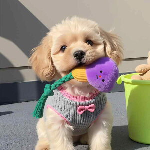 ybg o ݂Q v 킢 d^ ʂ Lp XgX ^s mߋ CG[ p[v uE