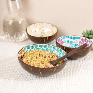 {E VRRRibcVF i`eCXg  킢 T_ fU[g VA [Og t[c H   CeA G JtF AWA GR