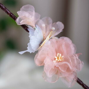  qp ̎q  JA `[  t[ wANbv  Õ a g GKg ؂₩  nhCh VN