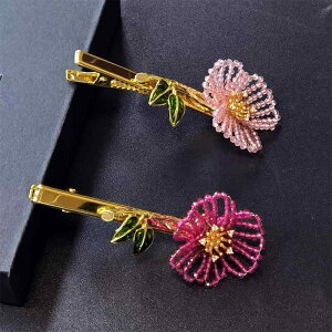 wAANZT[ fB[X   r[Y  t[ wANbv TChONbv ΂Nbv GKg  nhCh ؍ I`X^C(x2)