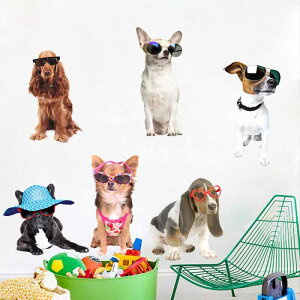 EH[XebJ[ q LbY LN^[ ዾ  Ck 킢  Aj} \Ă͂ h PVC ȔS rO Q q ybgVbv Xܑ  Ce