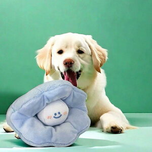 p XgX ^s ݐSnǂ m ӂӂ ʂ JVJV XNC[J[ B m[Y[N{[ x[W