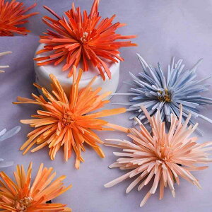  fB[X z  e t[`[t ؕ    l 񂴂 oXNbv wANbv 킢 tF~j