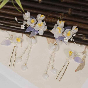 wAANZT[ fB[X    ÓT g wbhhX 񂴂 tZbg ^bZ h ԕ 受 D  