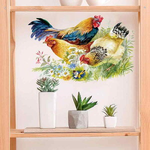 EH[XebJ[ \Ă͂ h h n敗 c { PVC CeA Ǐ rO Q    ͗lւ ȒP DIY fR[V _ Vv