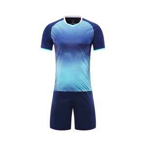 スポーツウェア キッズ ジュニア 男の子 女の子 男女兼用 ピンク 半袖 ショートパンツ セットアップ 吸汗速乾 バドミントン テニス 卓球 トレーニングウェア 試合着 春夏