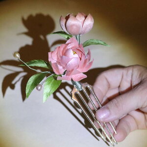 wAANZT[ p[  O N`iV wAR[ 񂴂 g ؕ `CihX  a(x2)