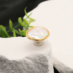 u[` fB[X VRp[ obN ` }Olbgs Cz pr dCbL ݌Jo[ jȂ Ȃ i RT[W