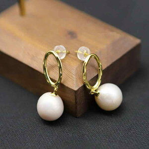 sAX CO fB[X 925 VRp[ i dCbLH Vv GKg  􉽊wfUC ƖډH ȉ~` g p[