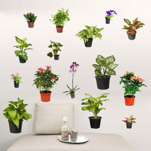 EH[XebJ[  h hH ΂̗t  |gX ϗtA A _ Vv PVCf rO Q  _CjO  \t@wi ǎV[ 2g ͗lւ DIY 