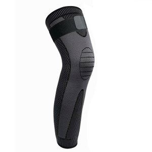 GT|[^[ jp X|[cp oXP jO oR TCNO tBbglX ^p O  ۉ h ~ Yɂ xg Gی Ep iCf H~