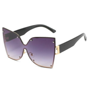 TOX fB[X UV400Jbg y t`Ȃ ăgh I NAJ[ ̌^ rbOt[ XNGA